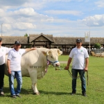 Hódmezővásárhely 2019