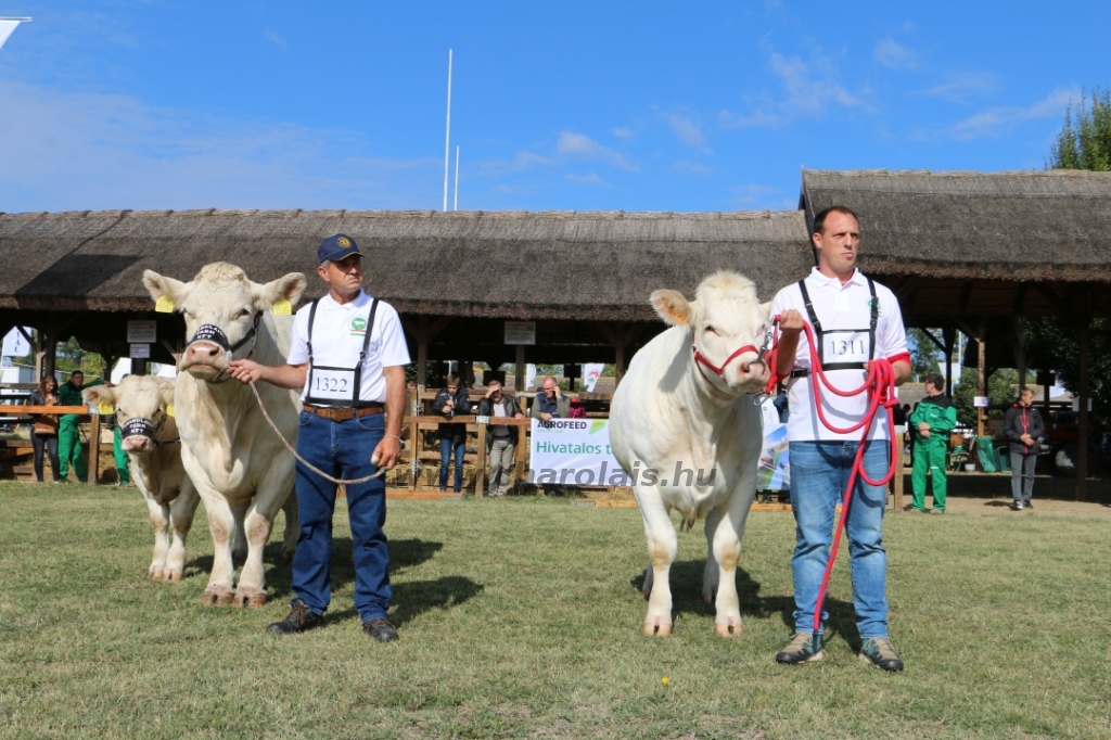 Hódmezővásárhely 2021