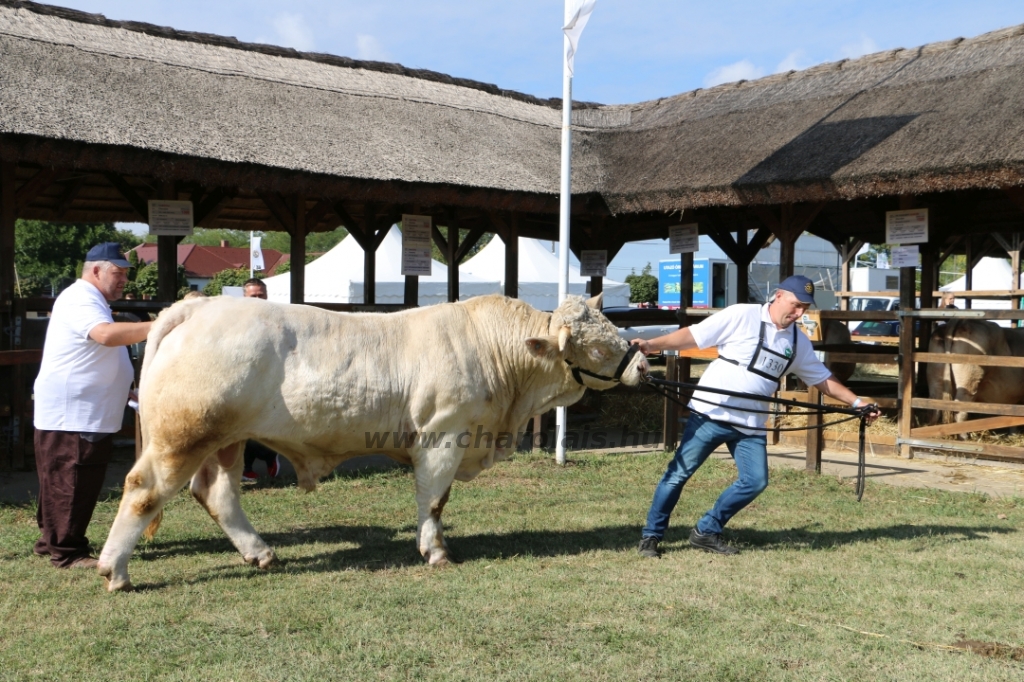 Hódmezővásárhely 2021