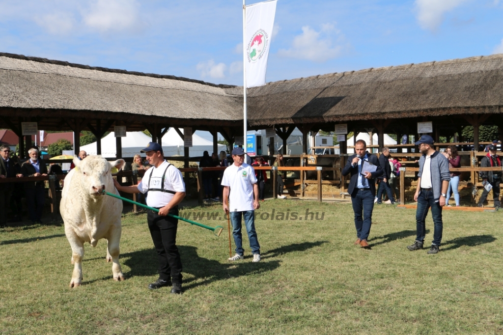 Hódmezővásárhely 2021