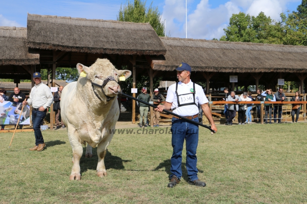 Hódmezővásárhely 2021