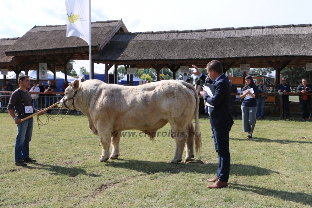 Hódmezővásárhely 2021