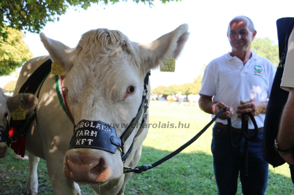 Hódmezővásárhely 2021