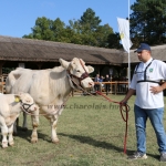 Hódmezővásárhely 2021