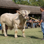 Hódmezővásárhely 2021