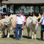 Hódmezővásárhely 2021