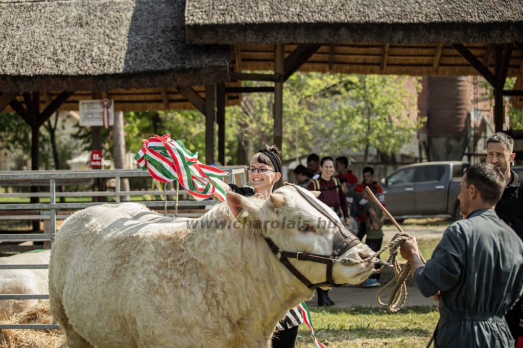 Hódmezővásárhely 2023