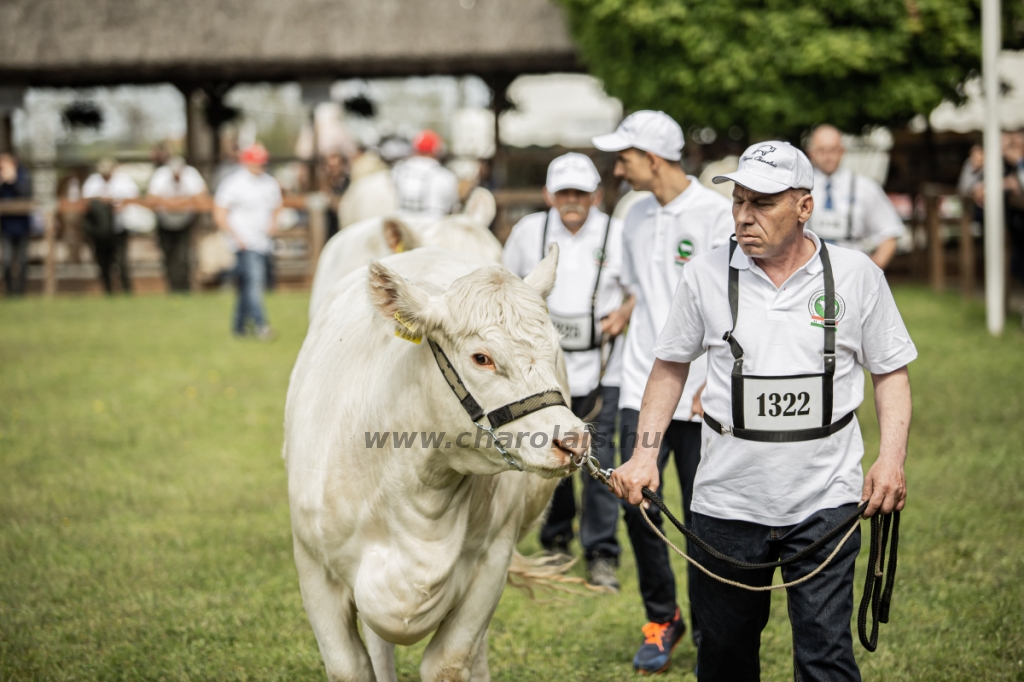 Hódmezővásárhely 2023