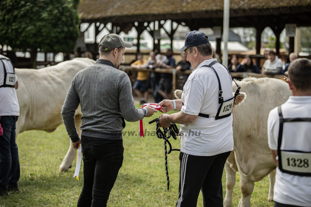 Hódmezővásárhely 2023