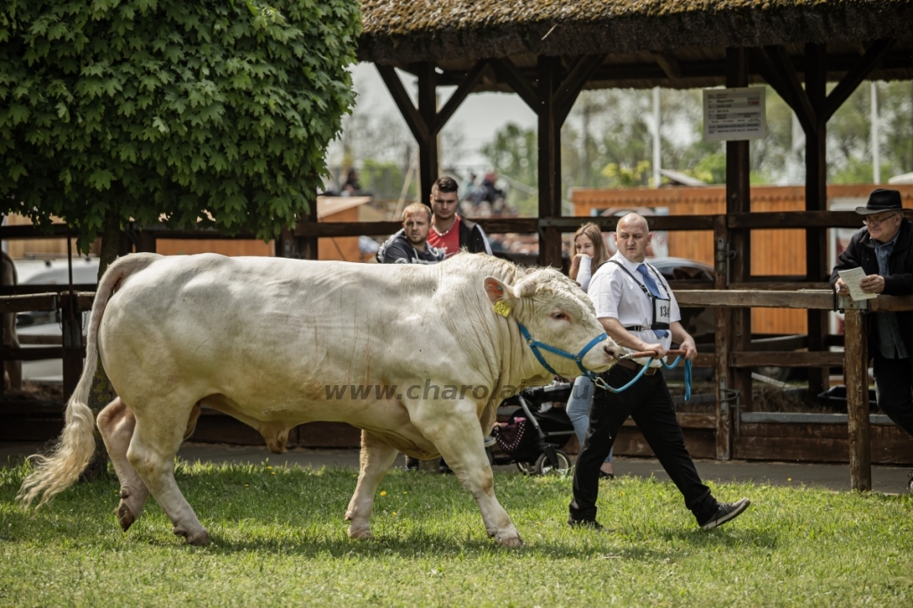 Hódmezővásárhely 2023