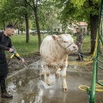 Hódmezővásárhely 2023