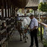 Hódmezővásárhely 2023