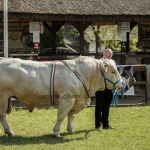 Hódmezővásárhely 2023