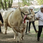 Hódmezővásárhely 2023