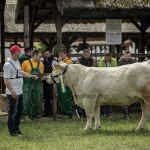 Hódmezővásárhely 2023