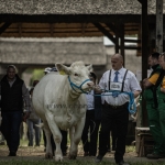 Hódmezővásárhely 2023