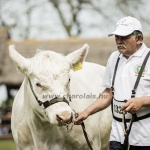 Hódmezővásárhely 2023