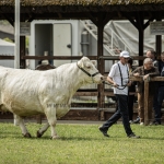 Hódmezővásárhely 2023