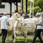 Hódmezővásárhely 2023