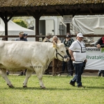 Hódmezővásárhely 2023