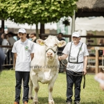 Hódmezővásárhely 2023