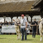 Hódmezővásárhely 2023