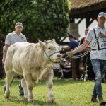 Hódmezővásárhely 2023