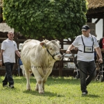 Hódmezővásárhely 2023