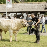 Hódmezővásárhely 2023